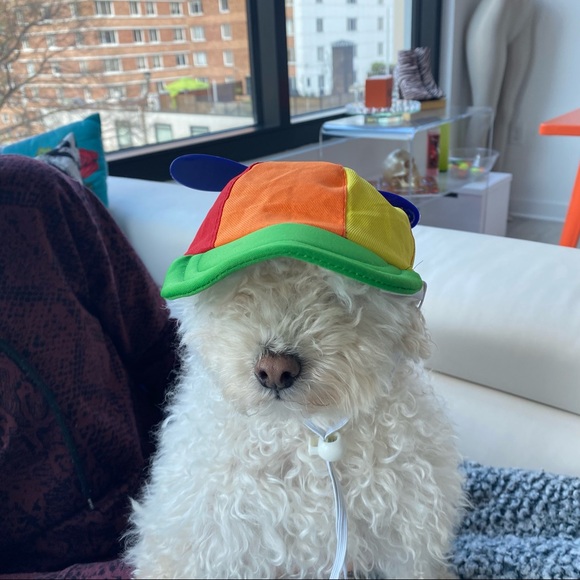 ❤️ Dog Propeller Rainbow Color Block Baseball Cap Hat Visor - Picture 2 of 6